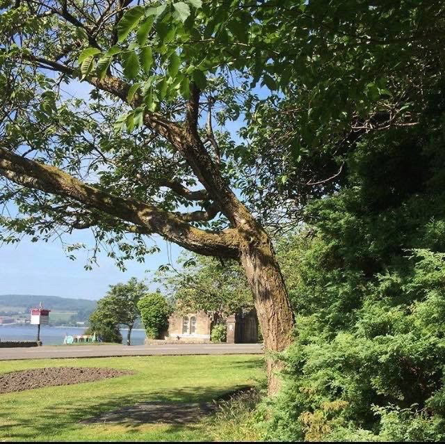 Helensburgh and Lomond Marriage