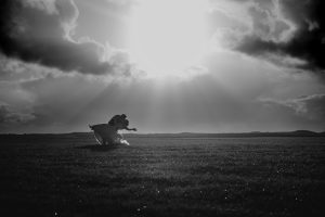 black and white photo with bright light behind them