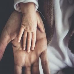 Child's hand in adult hand