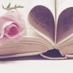 Heart-book-and-rose