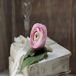 Book and a rose
