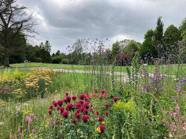 Image shows Hermitage Park with red flowers in the foreground and green lawns with trees in the background 