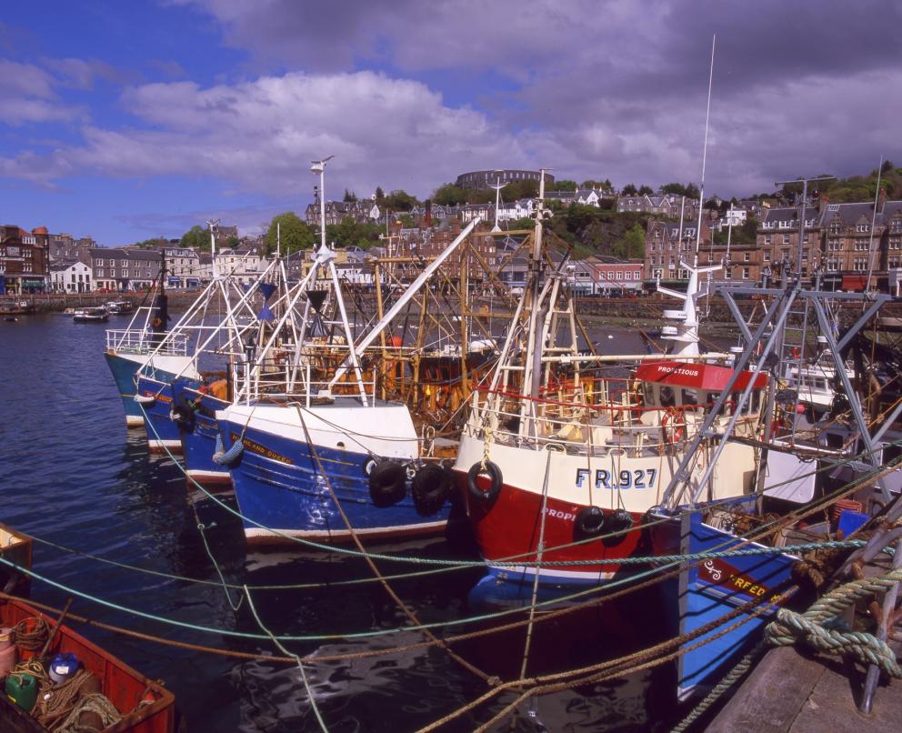 fishing boats at oban