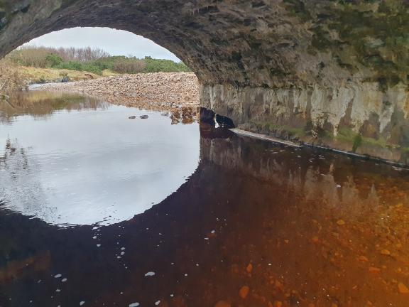 View underneath bridge
