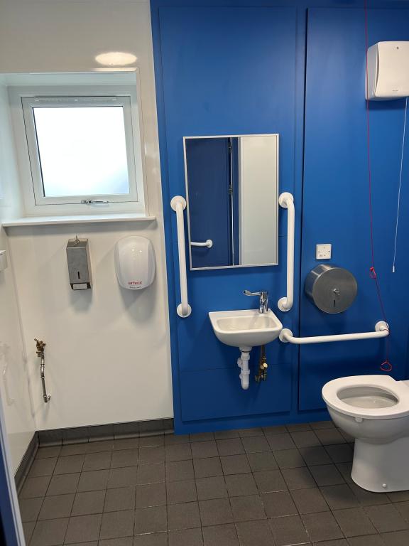 Toilet, sink, handrails and pull chords