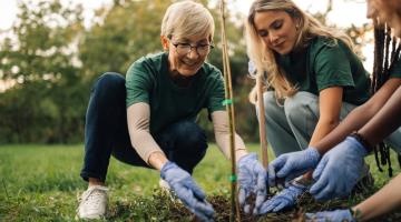 Image shows three volunteers planting a tree