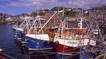 fishing boats at oban
