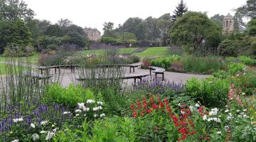 Picture of Hermitage Park in full bloom
