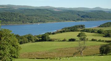 A general picture of scenery in Argyll and Bute