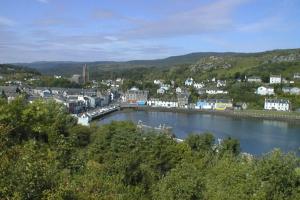 Photo taken above Tarbert and shows the harbour and village