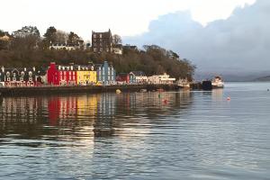 Images shows multi coloured houses at Tobermory, Mull
