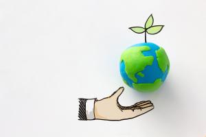 Drawing of hand below earth with sapling sprouting out the top