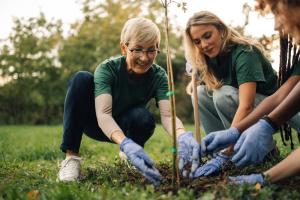 Image shows three volunteers planting a tree