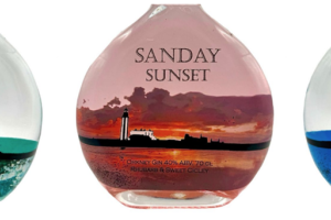 three pictures of gin bottles