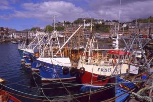 fishing boats at oban