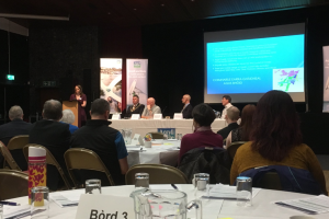 A general view photo of people at the Gaelic Gathering