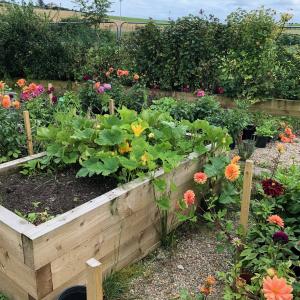 Planters pictured in the outdoor learning space 